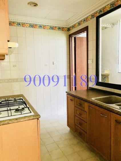 Seasons Park (D26), Condominium #154474652